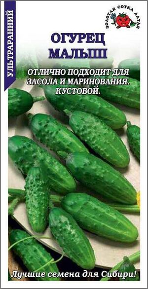 Огурец Малыш Золотая Сотка Алтая