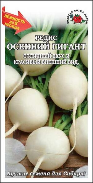 Редис Осенний Гигант Золотая Сотка Алтая