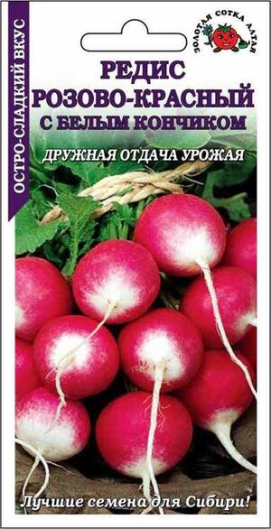 Редис Розово-Красный с Белым Кончиком Золотая Сотка Алтая