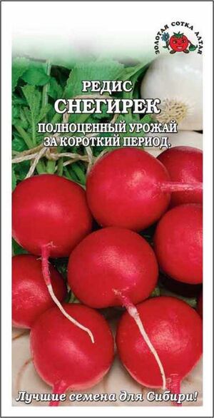 Редис Снегирек Золотая Сотка Алтая