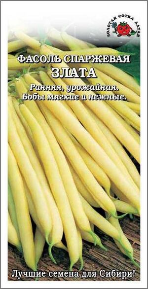 Фасоль Злата Золотая Сотка Алтая