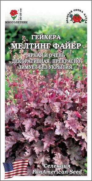 Гейхера Мелтинг Файер  Золотая Сотка Алтая