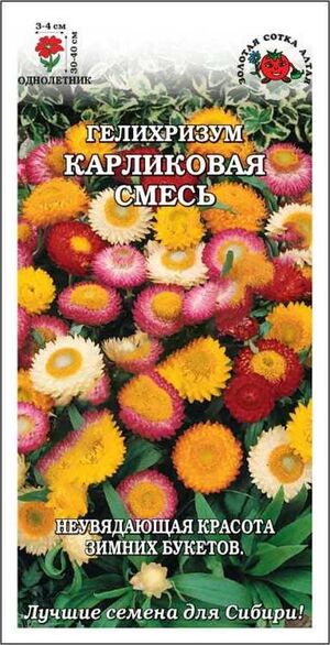 Гелихризум Карликовая Смесь  Золотая Сотка Алтая