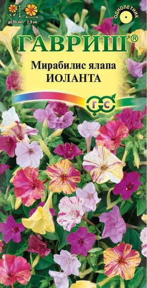 Мирабилис Иоланта Гавриш