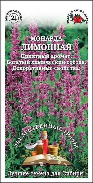 Монарда Лимонная Золотая Сотка Алтая