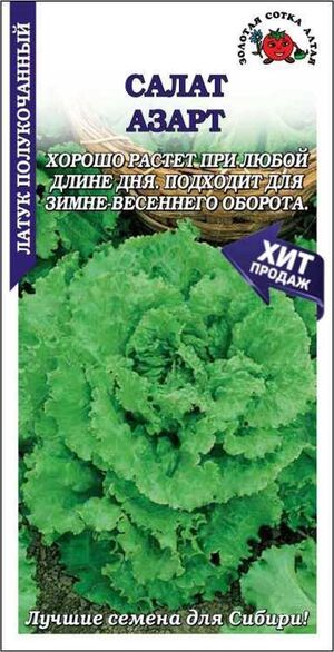 Салат Азарт листовой Золотая Сотка Алтая