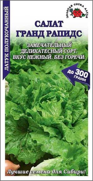 Салат Гранд Рапидс Золотая Сотка Алтая