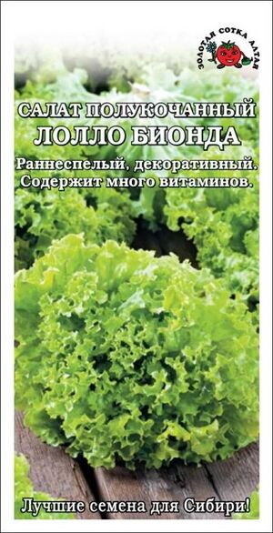 Салат Лолло Бионда Золотая Сотка Алтая