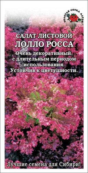 Салат Лолло Росса Золотая Сотка Алтая