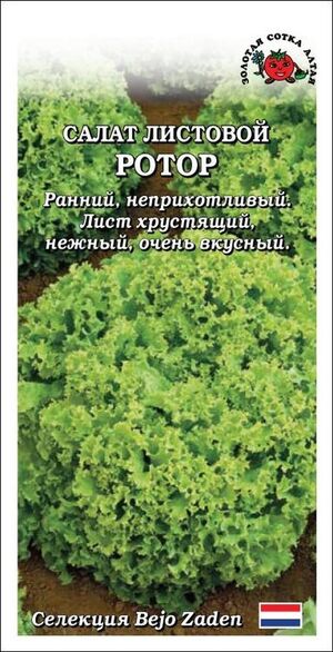 Салат Ротор листовой  Золотая Сотка Алтая