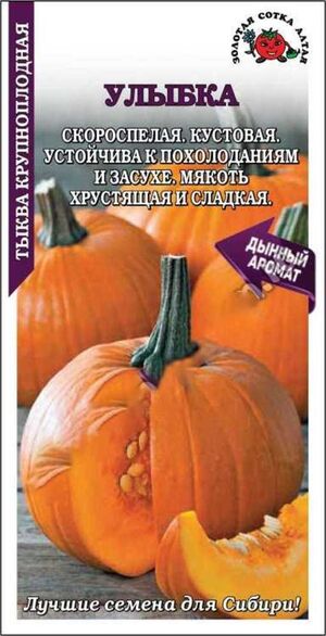 Тыква Улыбка Золотая Сотка Алтая