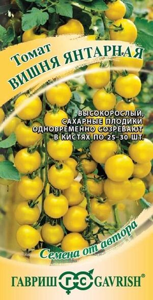 Томат Вишня янтарная серия от Автора Гавриш