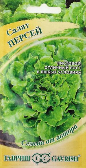 Салат Персей кудрявый Гавриш