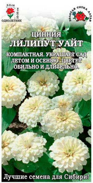 Цинния Лиллипут Уайт Золотая Сотка Алтая