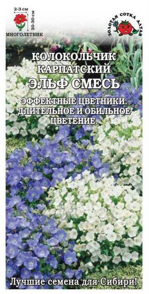 Колокольчик Эльф Золотая Сотка Алтая