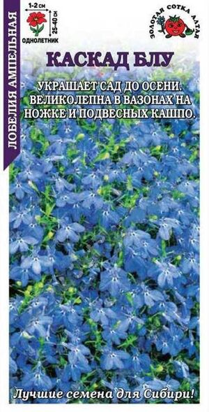 Лобелия Каскад Блю Золотая Сотка Алтая