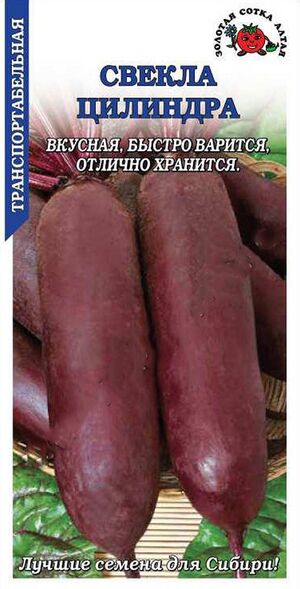 Свекла Цилиндра Золотая Сотка Алтая