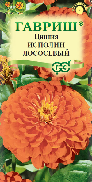 Цинния Исполин Лососевый Гавриш