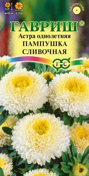 Астра Пампушка Сливочная однолетняя (помпонная) Гавриш