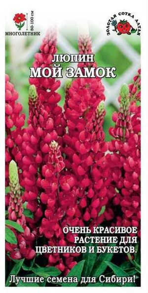 Люпин Мой Замок Золотая Сотка Алтая