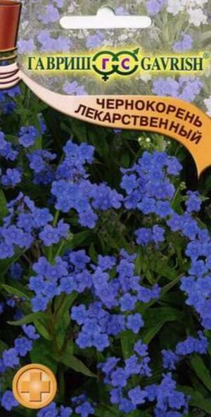 Чернокорень Лекарственный Гавриш