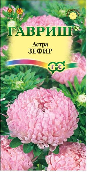 Астра Зефир, пионовидная нежно-розовая Гавриш