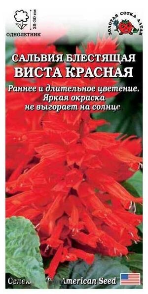 Сальвия Виста Красная Золотая Сотка Алтая