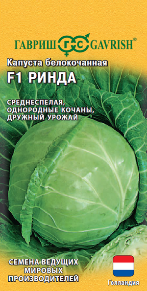 Капуста Ринда F1 белокочанная для квашения Голландия Гавриш