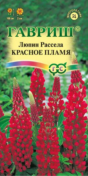 Люпин Красное Пламя Гавриш