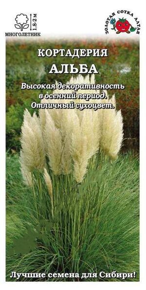 Кортадерия Альба Золотая Сотка Алтая