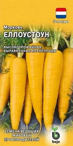 Морковь Еллоустоун Голландия  Гавриш