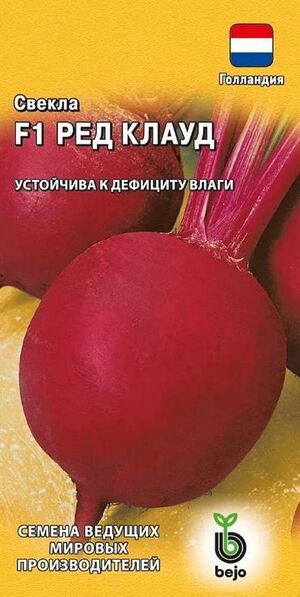 Свекла Ред Клауд F1 Голландия Гавриш
