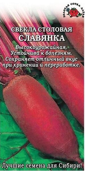 Свекла Славянка Золотая Сотка Алтая