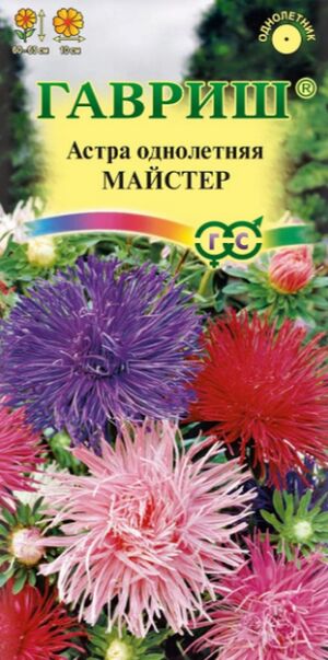 Астра Майстер, однолетняя (игольчатая) смесь Гавриш