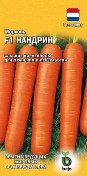 Морковь Нандрин F1  Голландия Гавриш