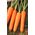 Морковь Нантская без сердцевины