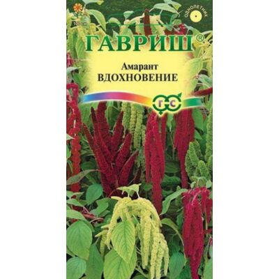 Амарант Вдохновение хвостатый Гавриш