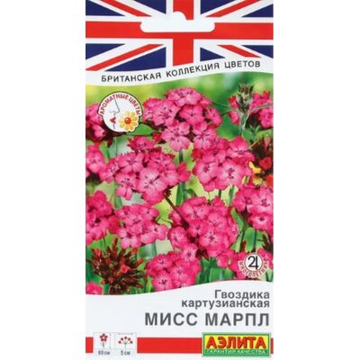 Гвоздика картузианская Мисс Марпл серия Британская коллекция цветов Аэлита