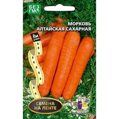 Морковь Алтайская Сахарная  Уральский Дачник