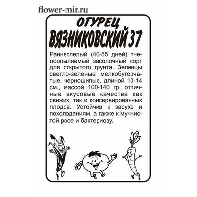 Огурец Вязниковский 37 0,5 Семена Алтая