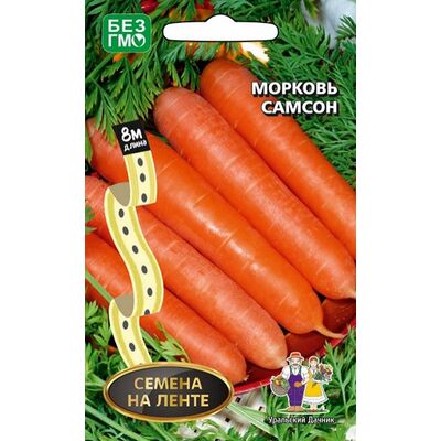 Морковь Самсон  Уральский Дачник