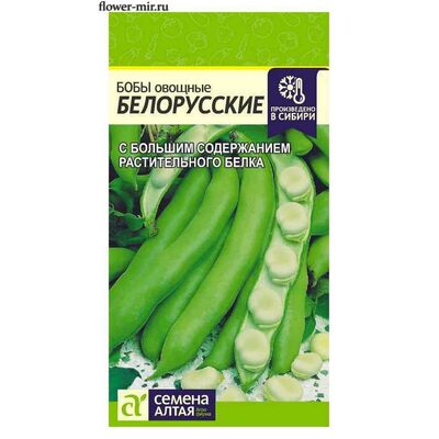 Бобы Белорусские  Семена Алтая