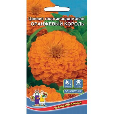 Цинния Оранжевый король георгиноцветковая Уральский Дачник