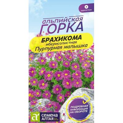 Брахикома Пурпурная Малышка серия Альпийская горка Семена Алтая