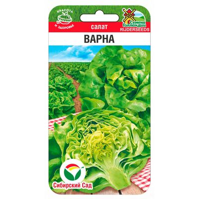 Салат Варна Сибирский Сад