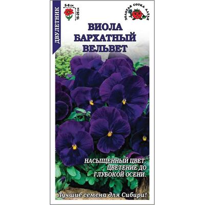 Виола Бархатный вельвет Золотая Сотка Алтая