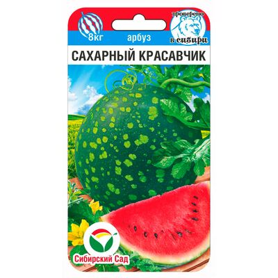 Арбуз Сахарный красавчик Сибирский Сад